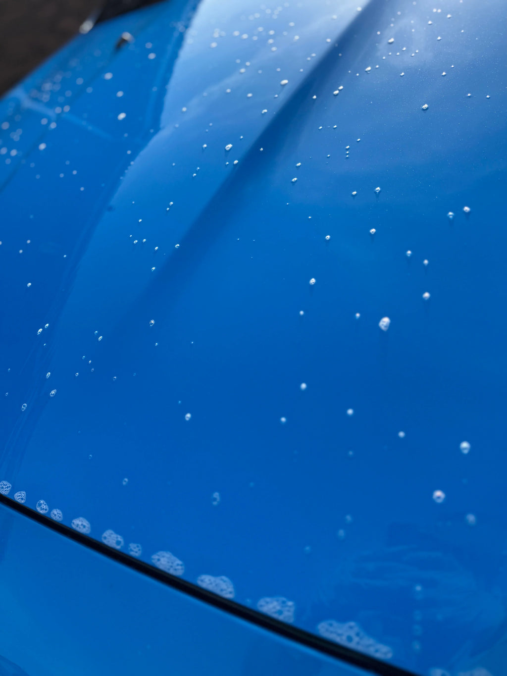 Water beading on shiny blue car hood, showing car detailing and wax protection effect.