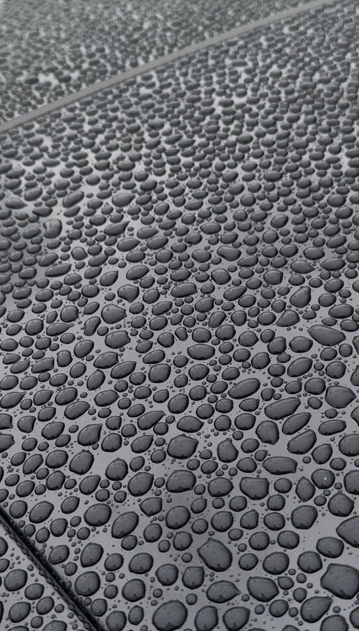 Water droplets on a dark metallic surface
