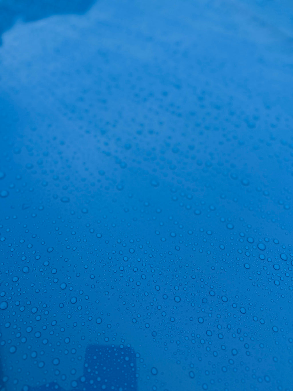 Water beading across a blue bonnet protected with Pro 9H ceramic coating